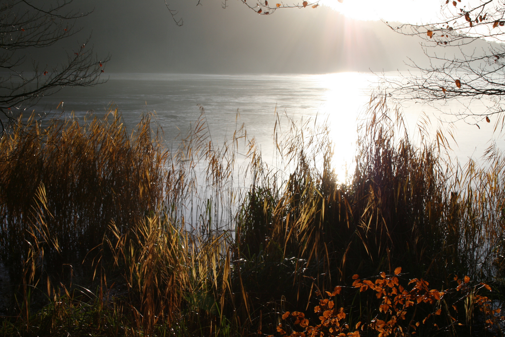 Winter am See