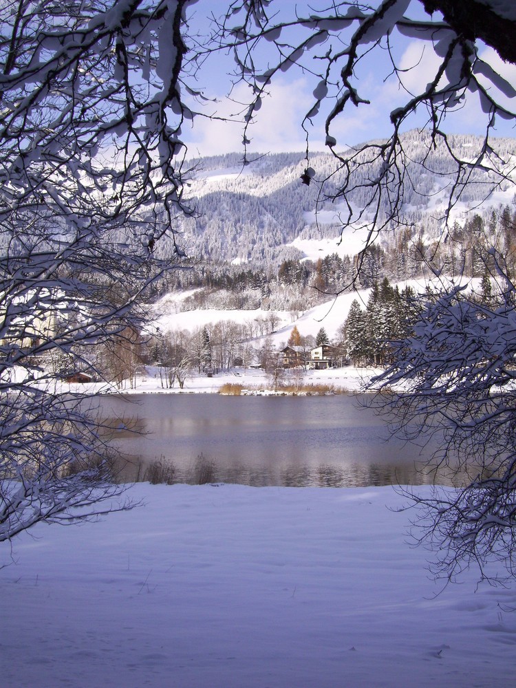 Winter am See