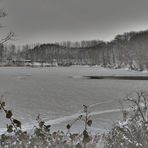 Winter am See