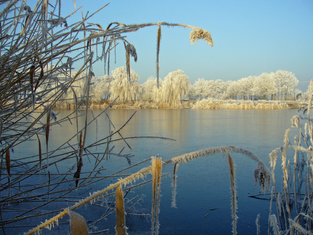 Winter am See 1