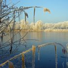 Winter am See 1