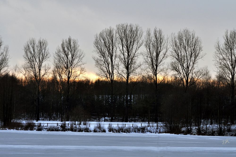 Winter am See 1