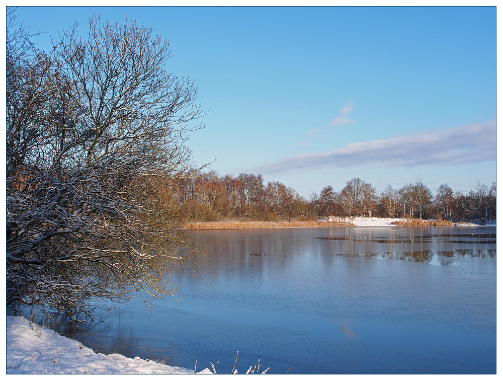 Winter am See -1-