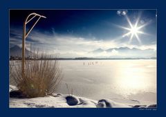 Winter am See (1)