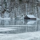 Winter am See