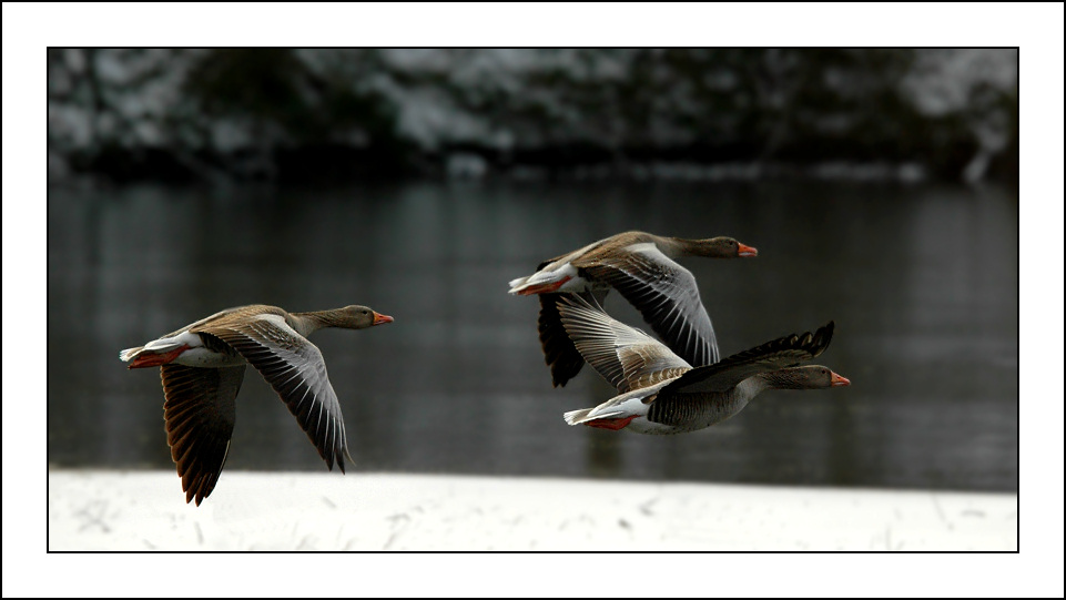 Winter am See