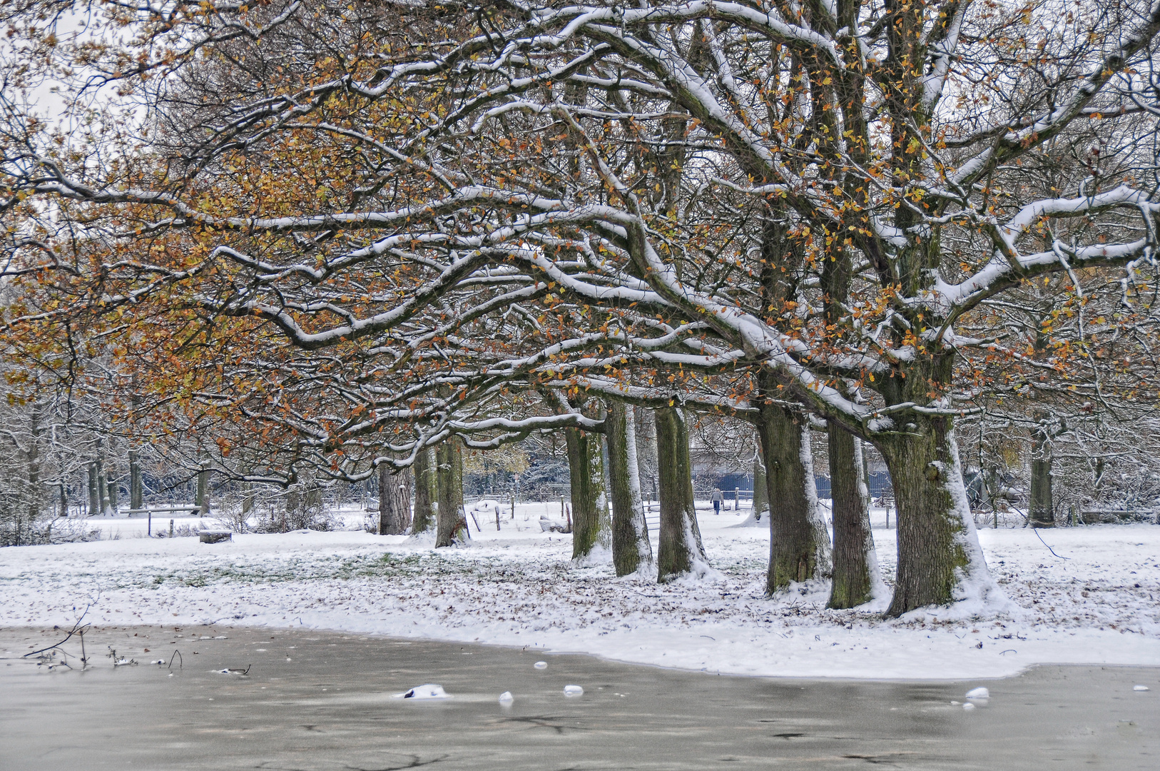 Winter am See