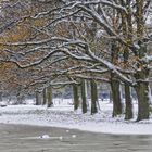 Winter am See