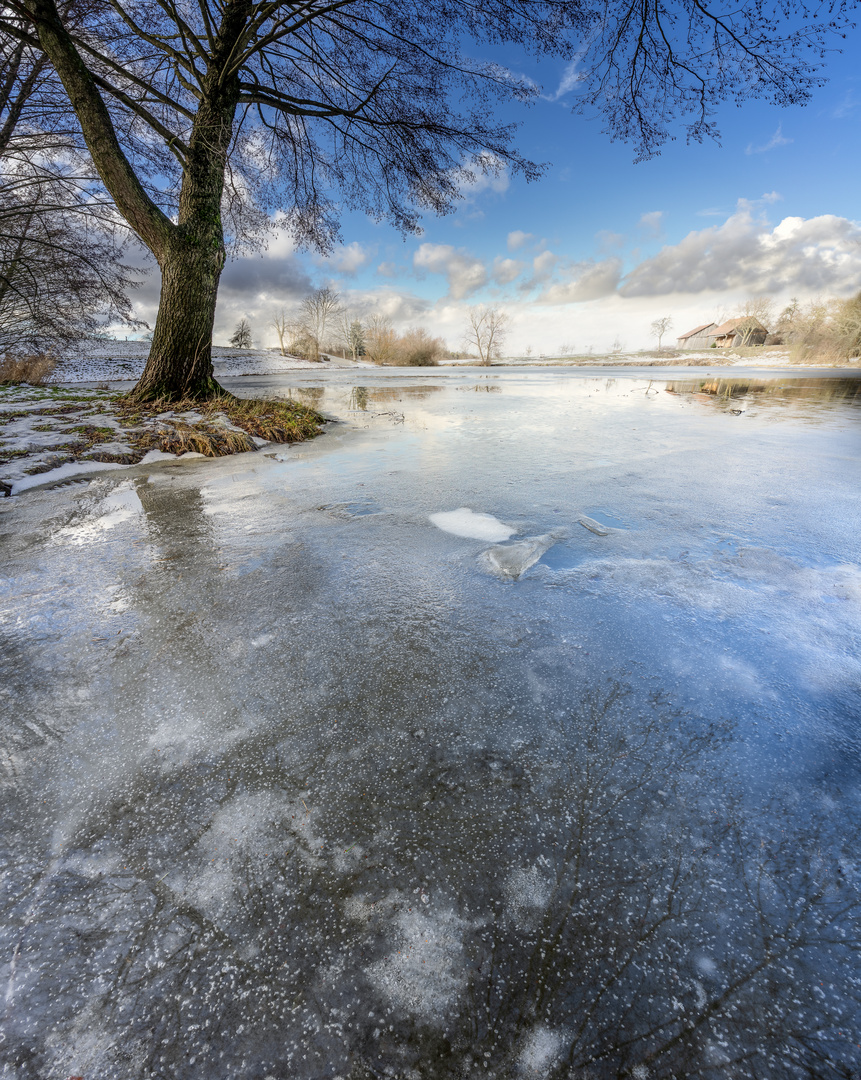 Winter am See