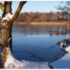 Winter am See -2-