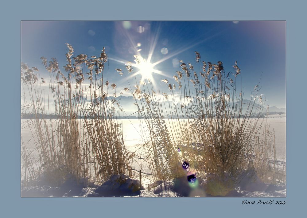 Winter am See (2)