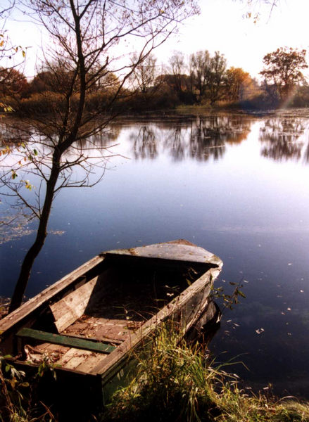 Winter am See