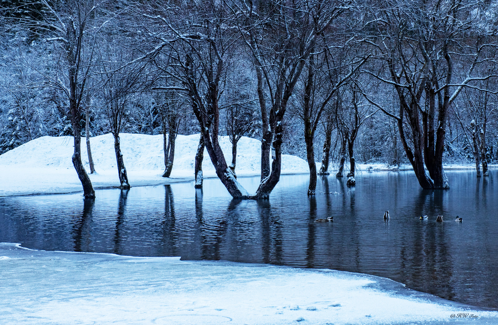 Winter am See