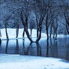 Winter am See