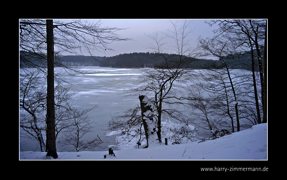 Winter am See