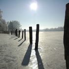 Winter am See