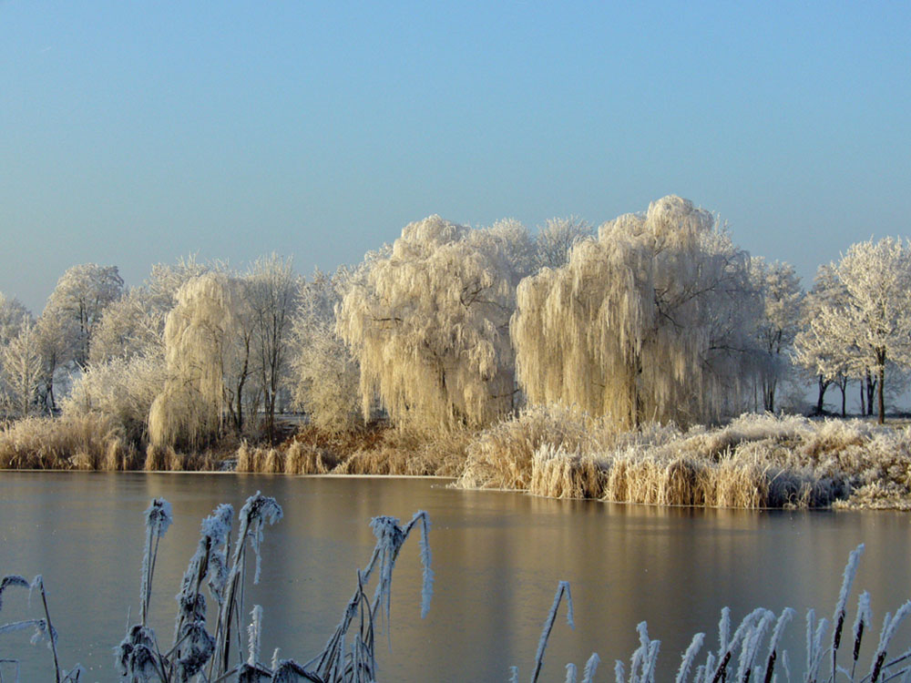 Winter am See 3