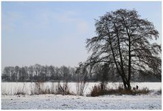 Winter am See