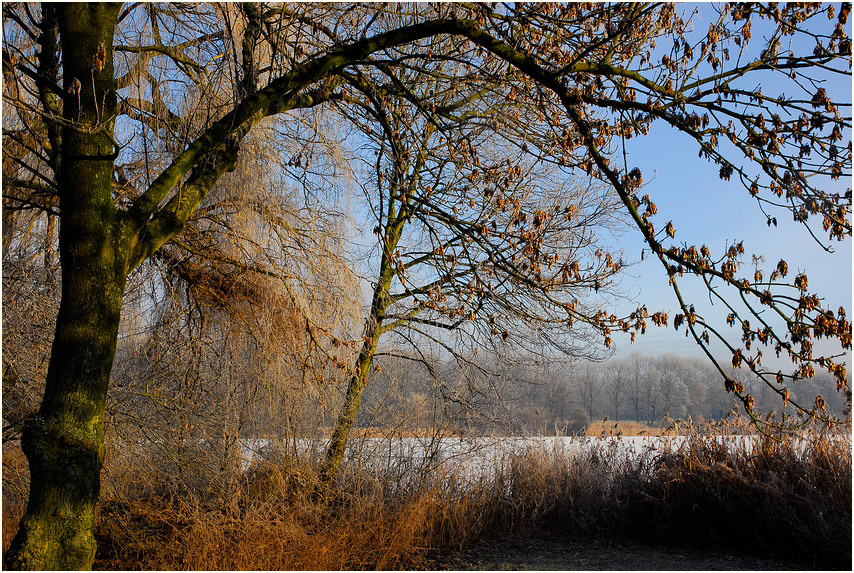 Winter am See