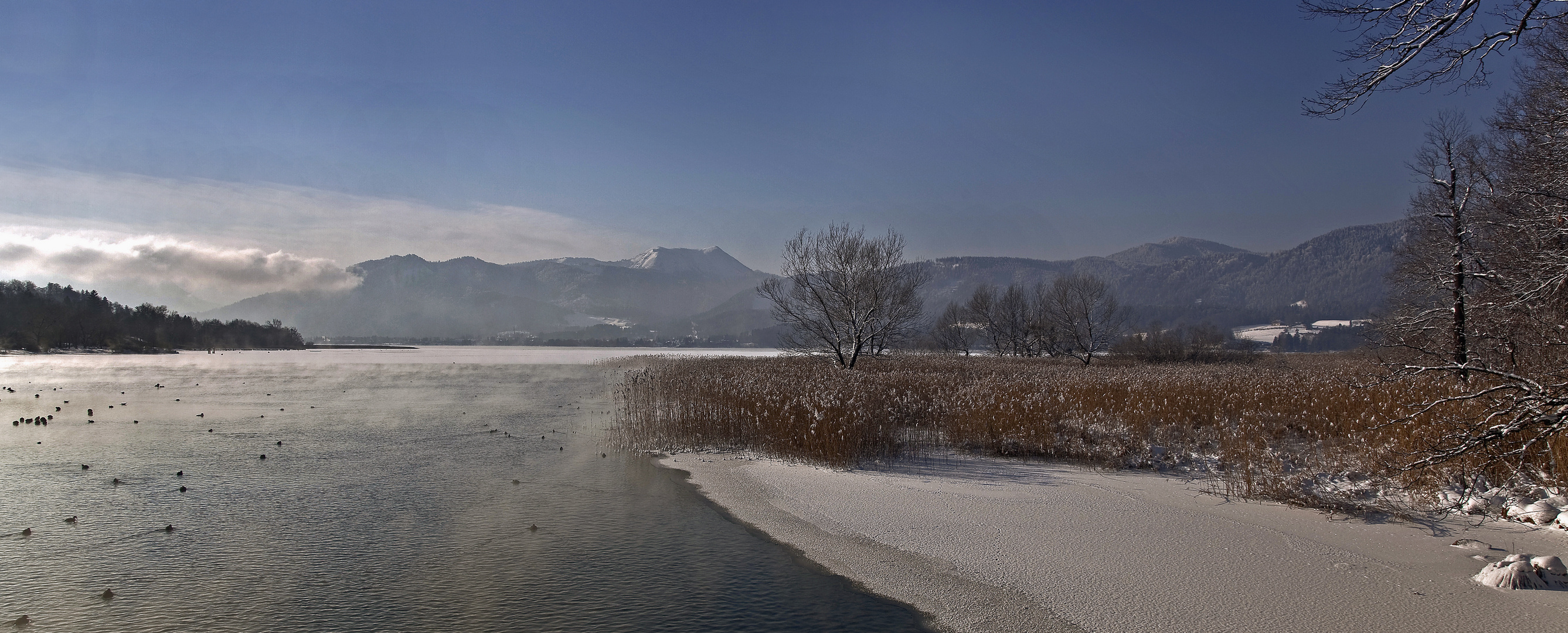 Winter am See