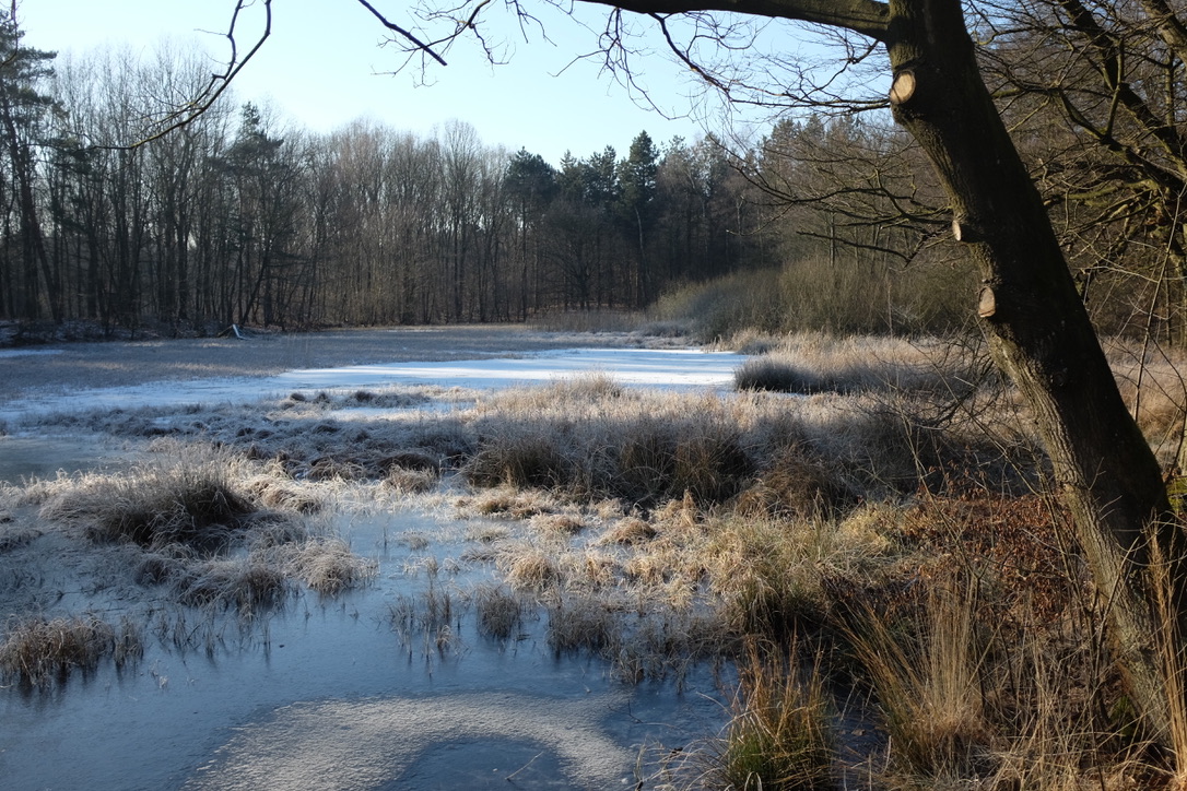  Winter am See