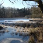  Winter am See