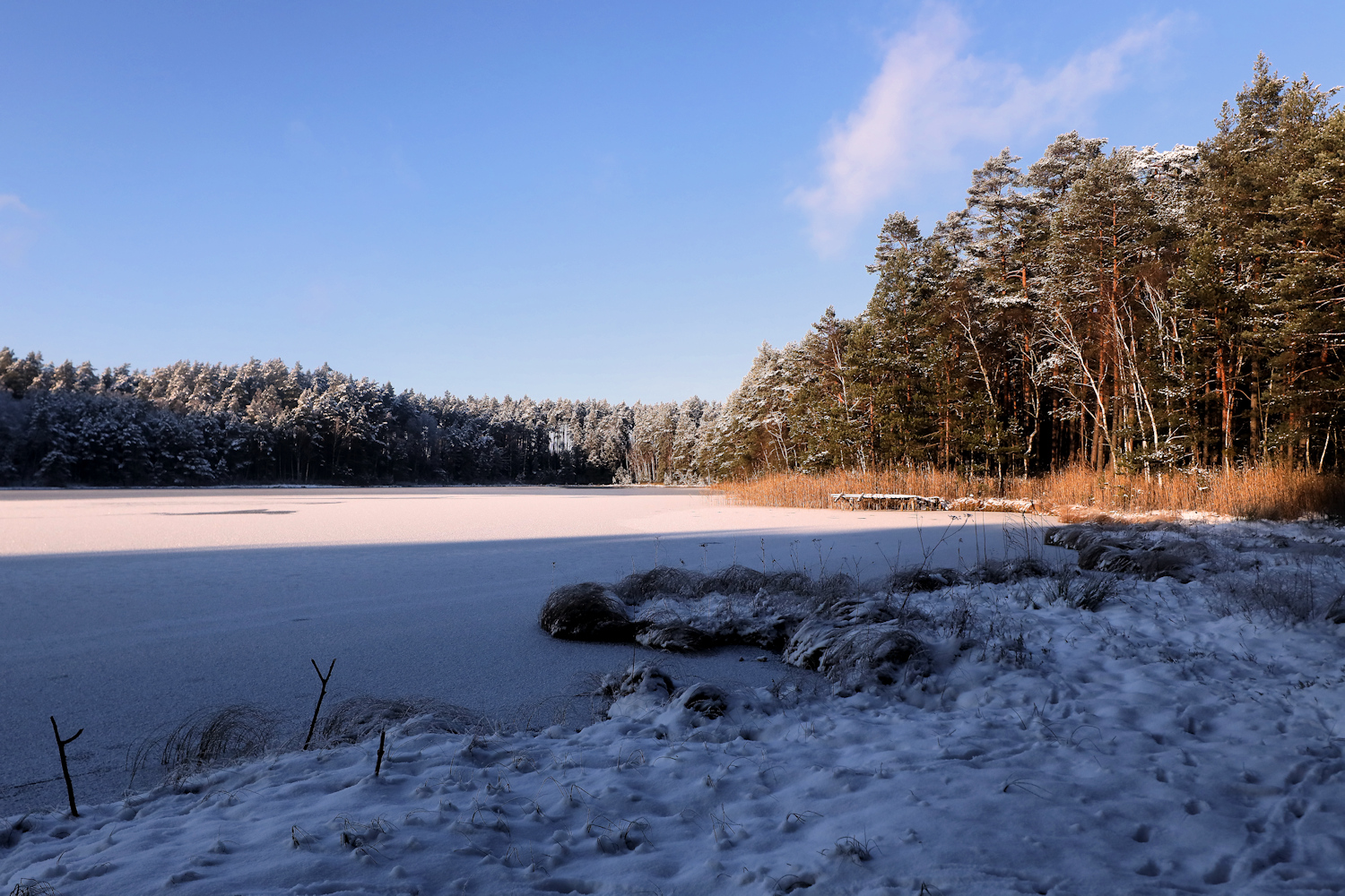 Winter am See