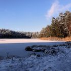 Winter am See