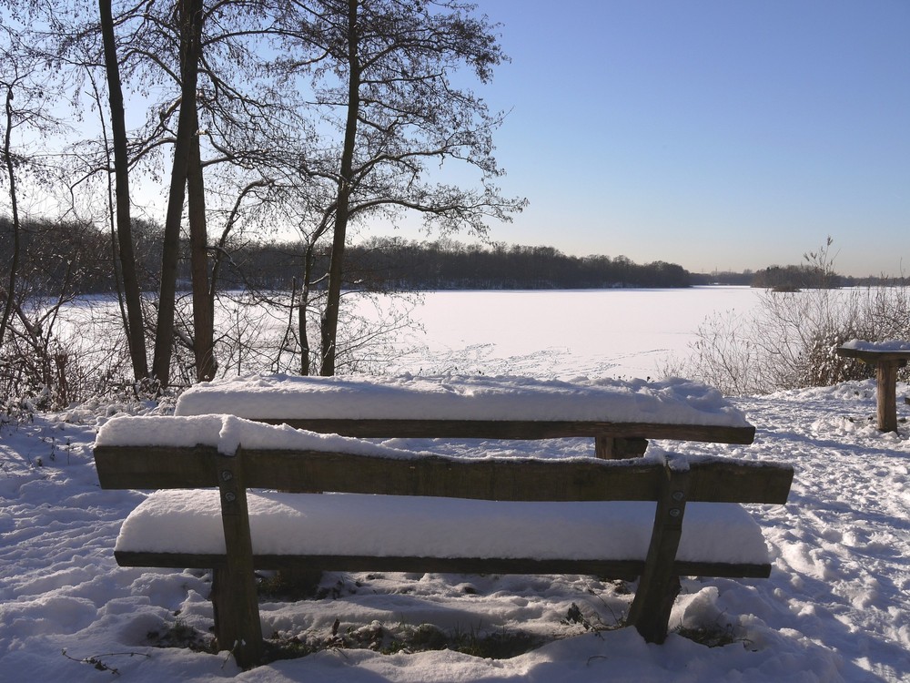 Winter am See