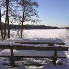 Winter am See