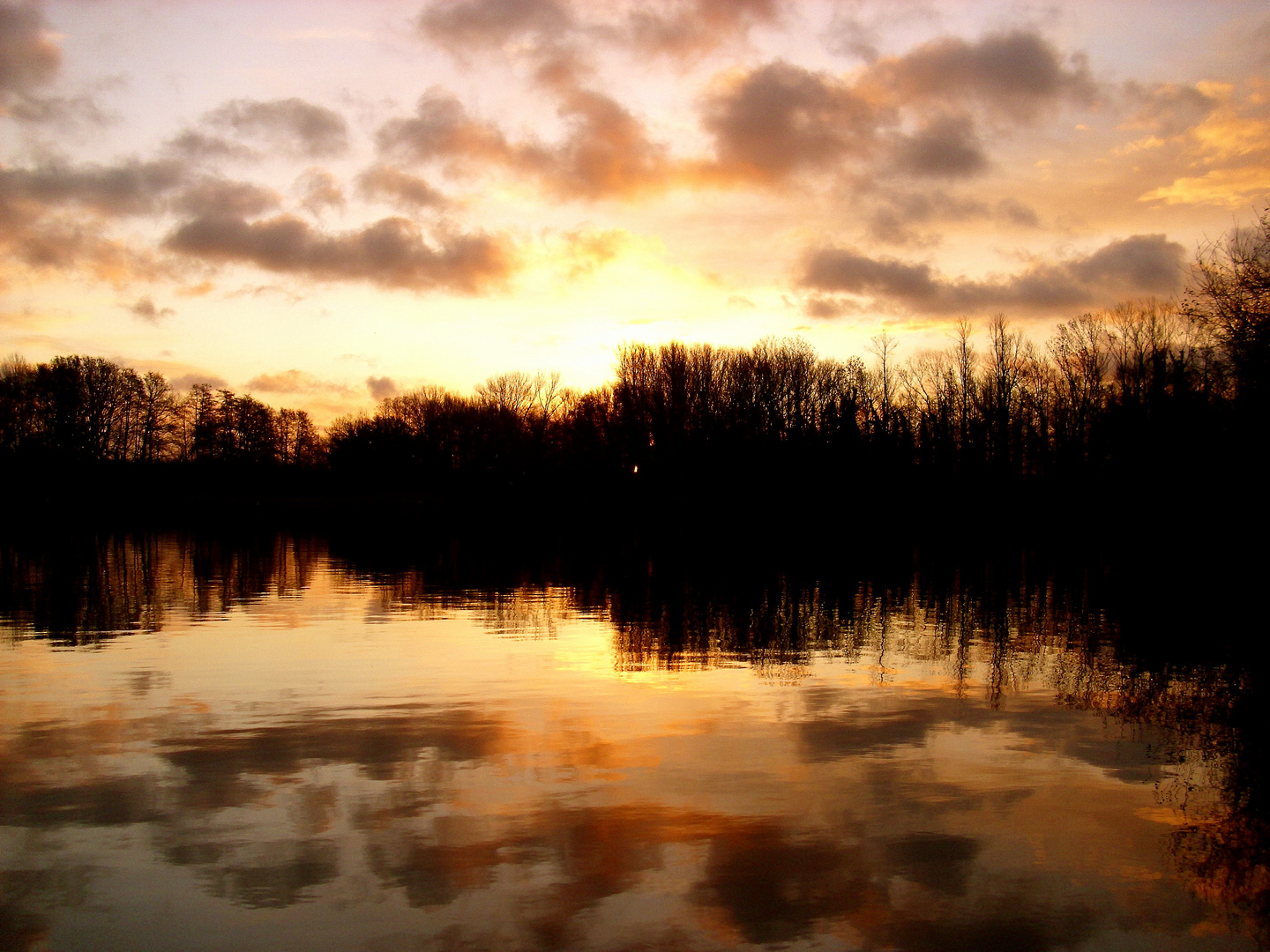 Winter am See