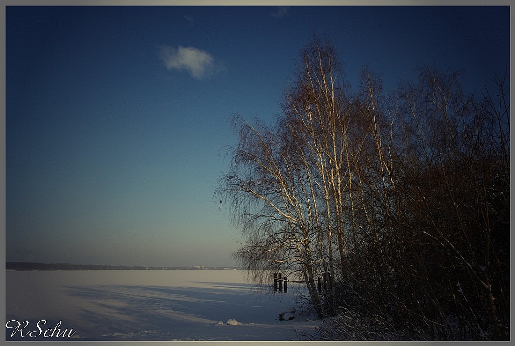 Winter am See