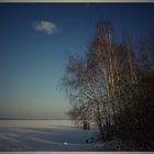 Winter am See