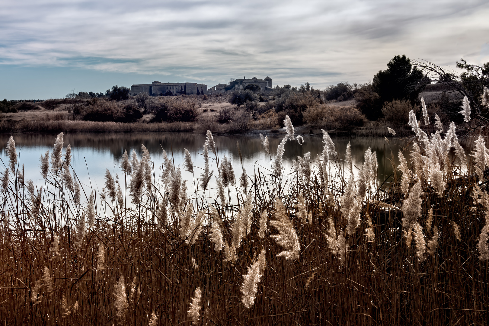 Winter am See