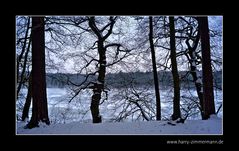 Winter am See