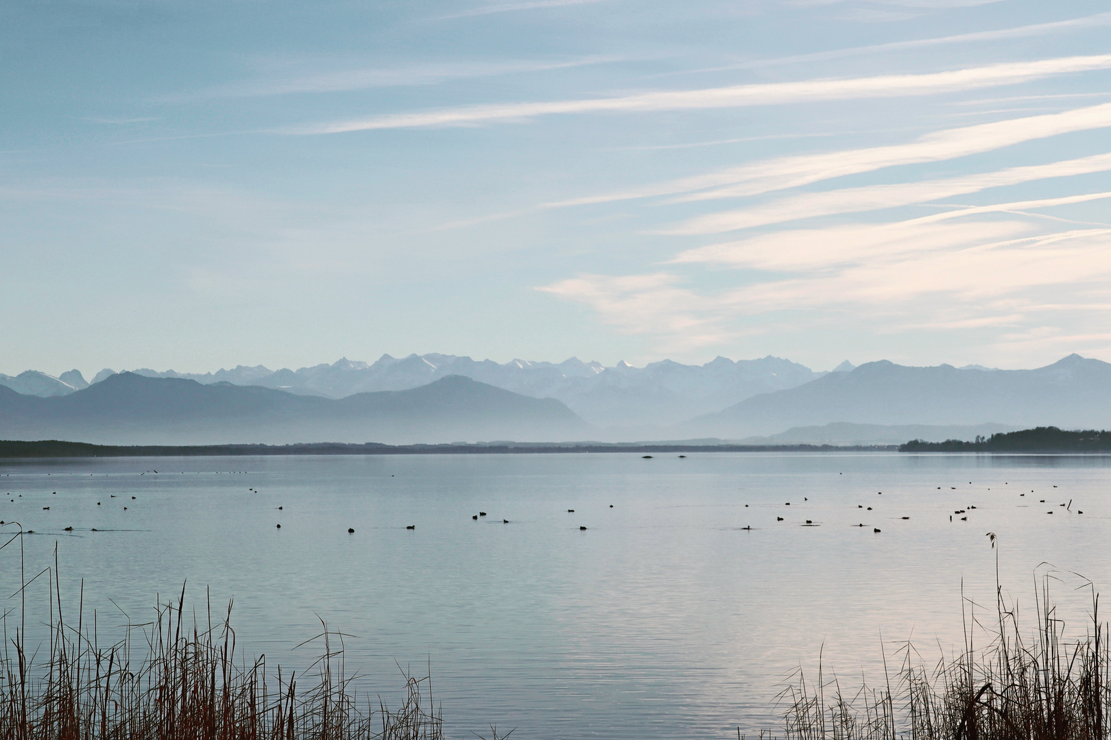 Winter am See