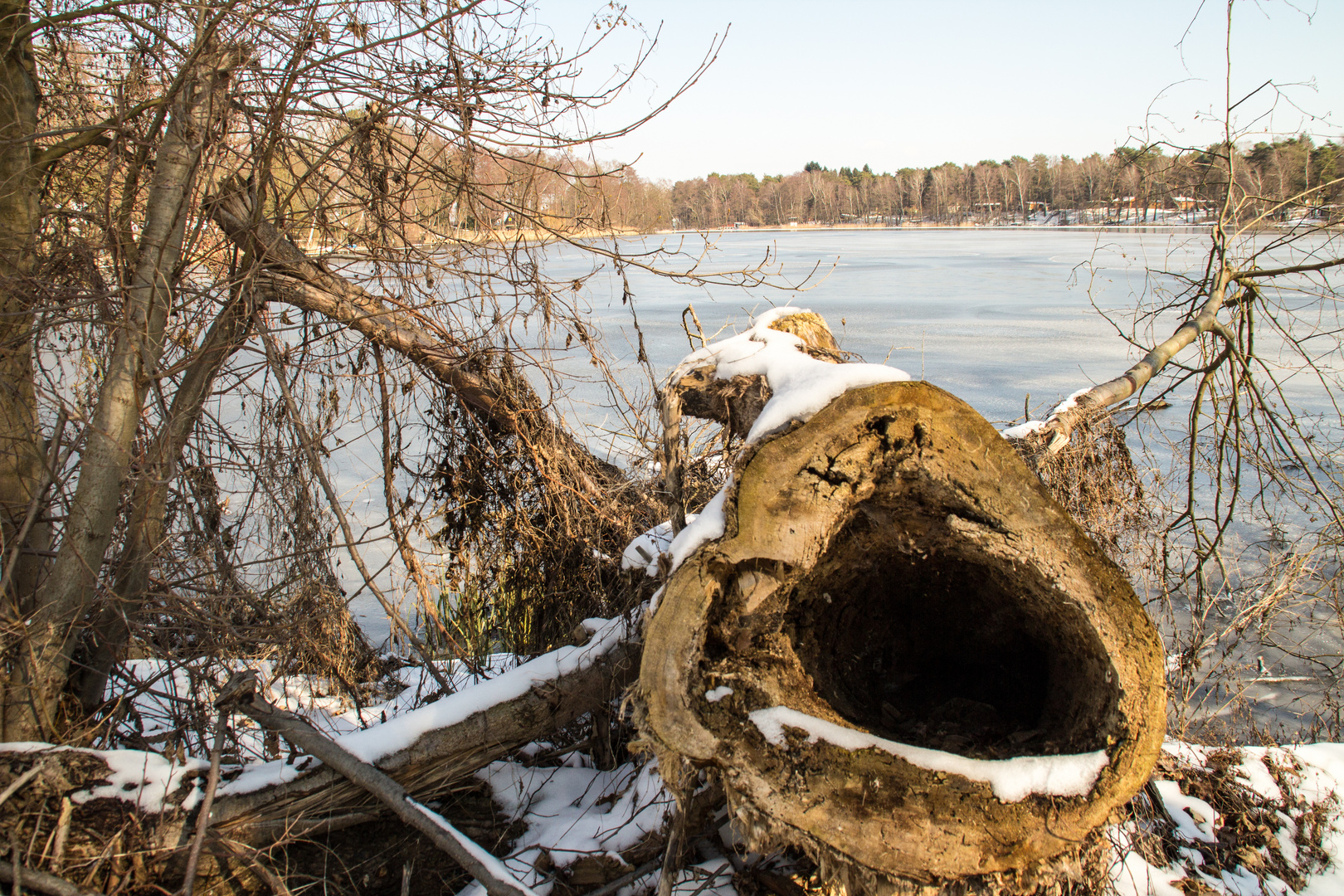 Winter am See