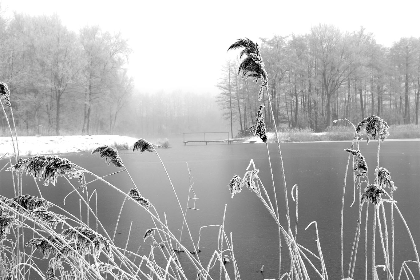 Winter am See