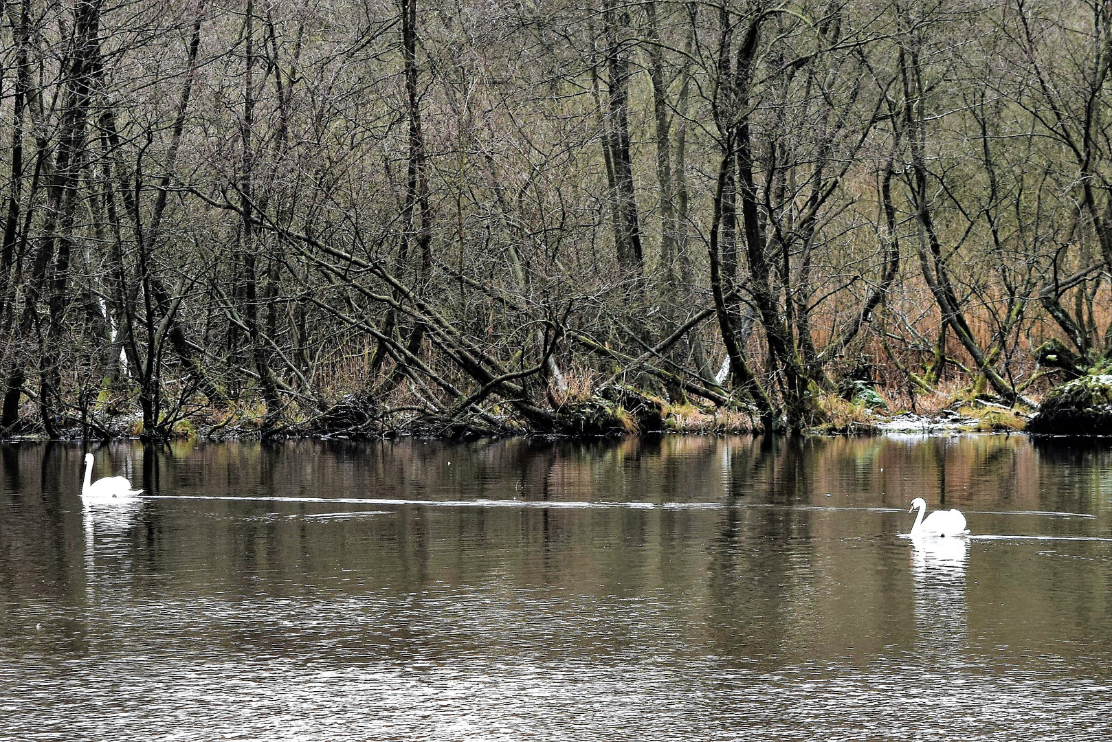 Winter am See