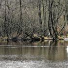 Winter am See