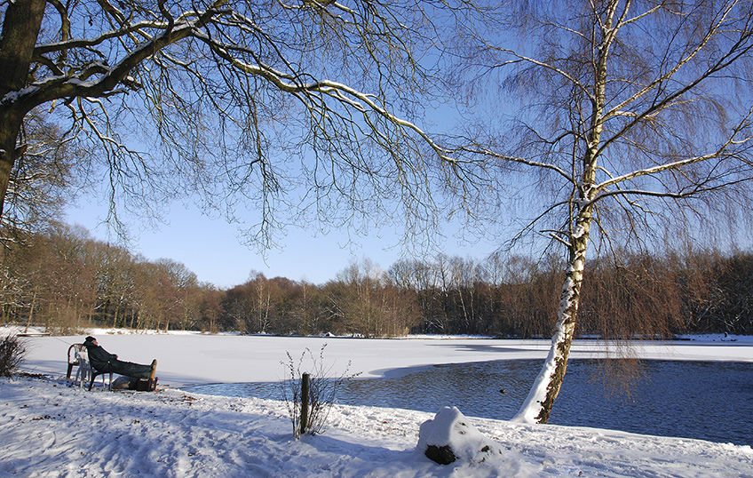 winter am see