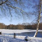 winter am see