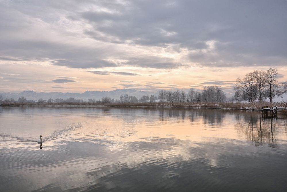 Winter am See