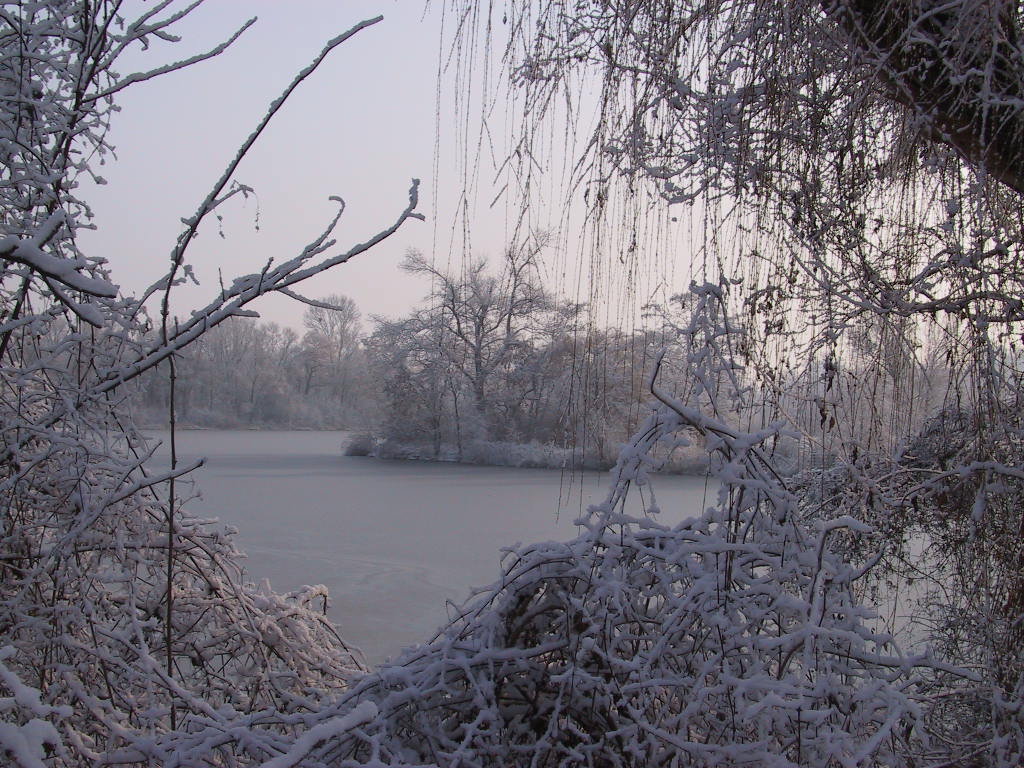 Winter am See