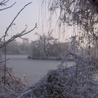 Winter am See