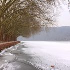 Winter am See