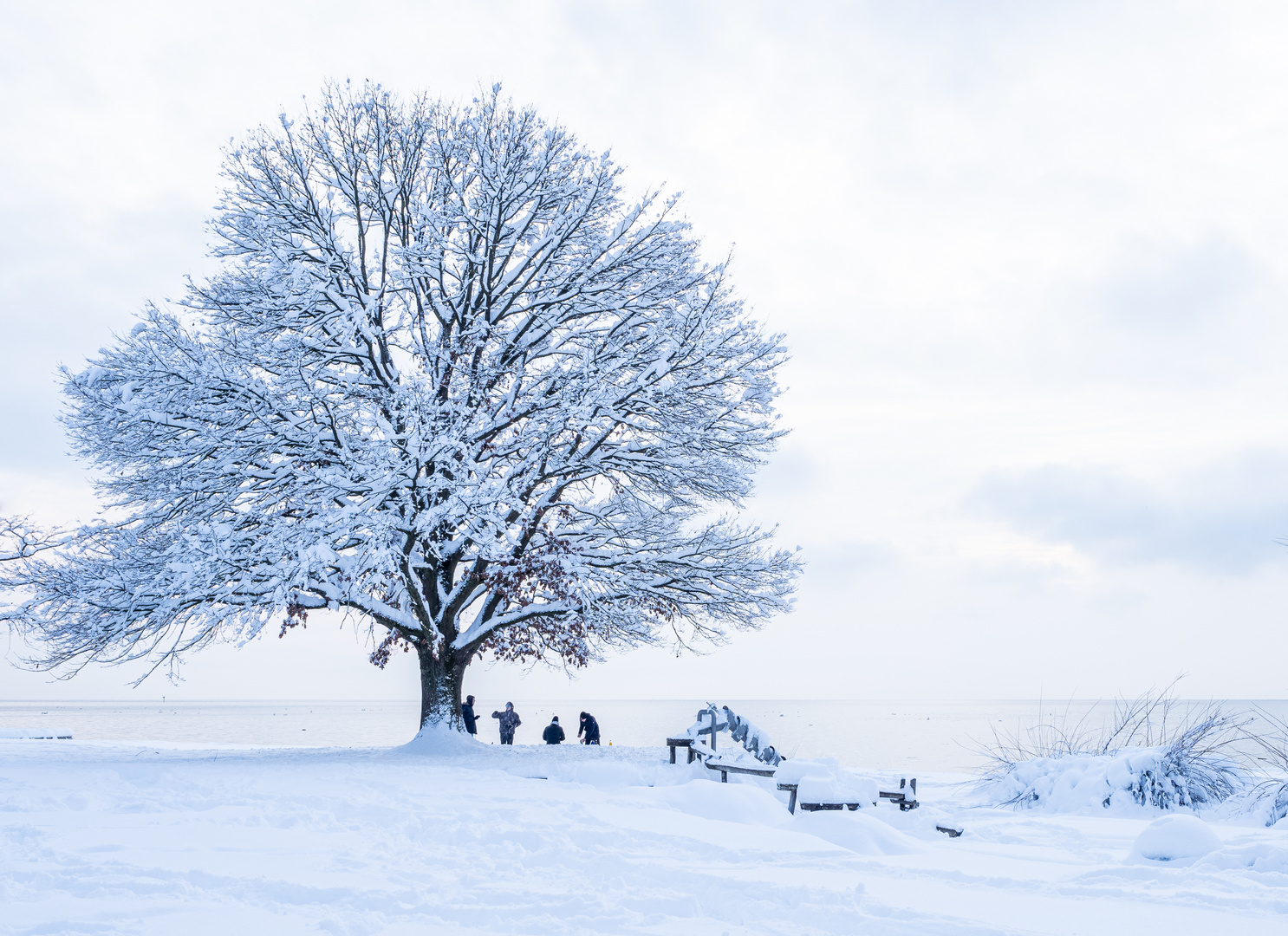 Winter am See