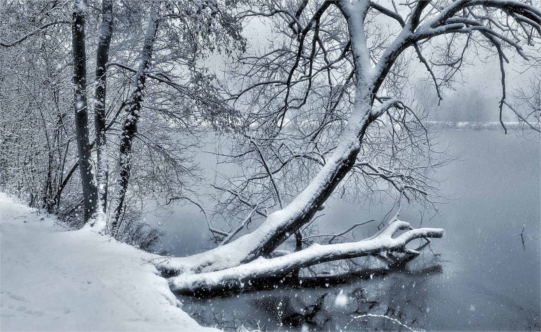 WINTER AM SEE