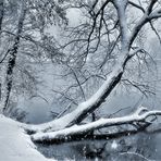 WINTER AM SEE