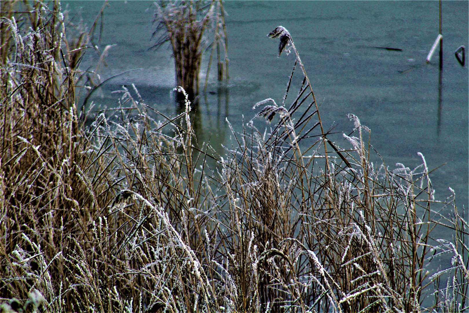  Winter am See